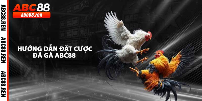 Hướng Dẫn Đặt Cược Trên Đá Gà ABC88