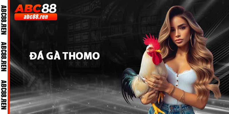 Đá Gà Thomo