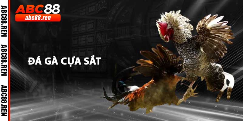Đá Gà Cựa Sắt