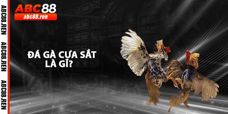 Đá Gà Cựa Sắt Là Gì