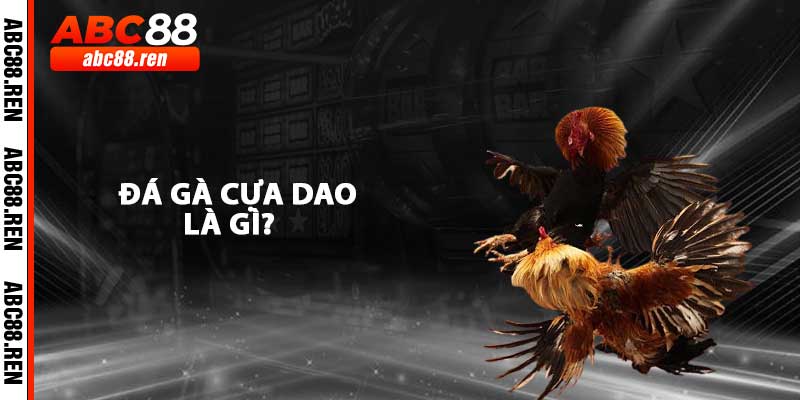 Đá Gà Cựa Dao Là Gì