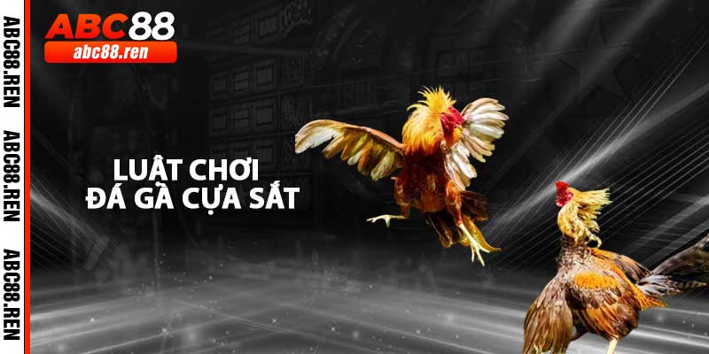 Luật Chơi Đá Gà Cựa Sắt Tại Nhà Cái ABC88