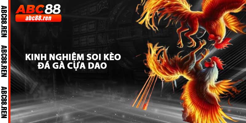 Kinh Nghiệm Soi Kèo Đá Gà Cựa Dao Cho Người Mới Bắt Đầu