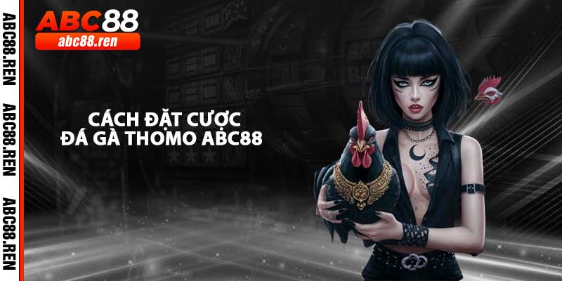Cách Đặt Cược Đá Gà Thomo Tại Nhà Cái ABC88